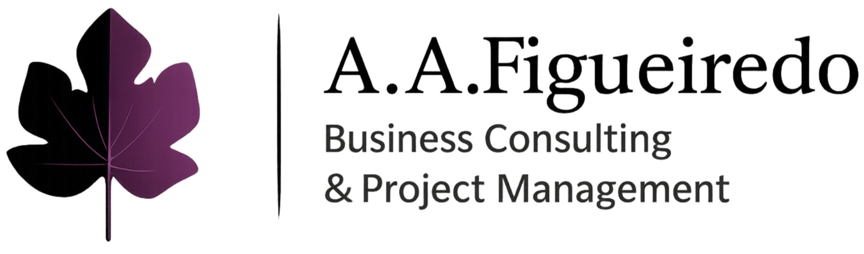 A.A. Figueiredo